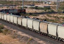 Niño migrante fallece al caer del tren en El Fuerte, Sinaloa