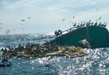 Tragedia en Ahome, Sinaloa: pescador desaparecido tras naufragio de barco atunero