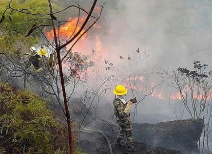 Sigue la lucha contra incendios en Colombia