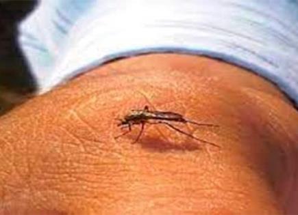 Registran primer caso de dengue en la Huasteca norte