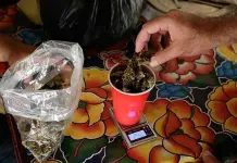 Narcomenudeo, de r&eacute;cord en SLP