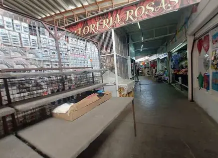 Busca Galindo municipalizar mercado San Luis 400