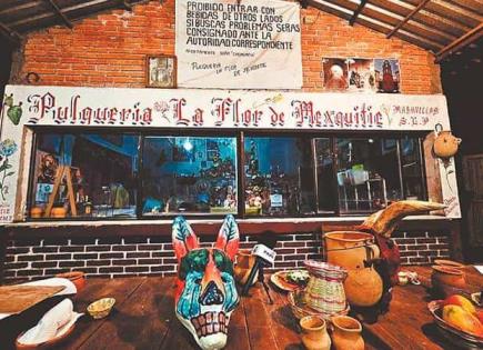 "LA FLOR DE MEXQUITIC": TRADICIÓN Y PRESERVACIÓN DEL PULQUE EN SLP