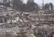 Incendios forestales en Chile: la tragedia que golpea al país