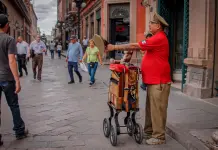 FOTO | El organillero, una figura icónica en la vida urbana de SLP FOTO | El organillero, una figura icónica en la vida urbana de SLP
