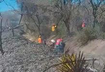 Incendios Forestales en Veracruz: Detalles y Estadísticas