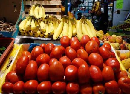 Tomate: aliado contra enfermedades y tabaco