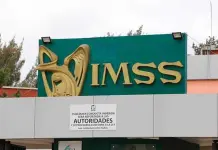 Desafilian a empleados del IMSS sin enterarlos: STPS Desafilian a empleados del IMSS sin enterarlos: STPS