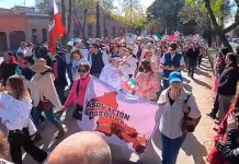 IP: Marcha por la Democracia, advertencia al autoritarismo