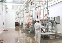 Separan del cargo a subdirector del Rastro, acusado por violencia familiar