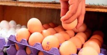 Beneficios del huevo de gallina en Omega-3 para la salud