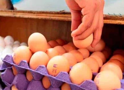 Beneficios nutricionales del huevo para la salud