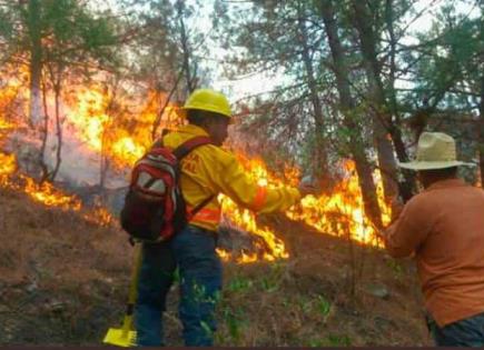 Incendio cobra 5 vidas en Oaxaca