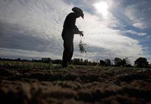 Productores recuperar&aacute;n el subsidio a energ&iacute;a