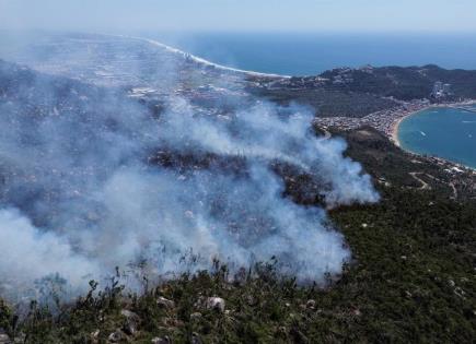Incendios forestales en Acapulco: Situación actual y desafíos