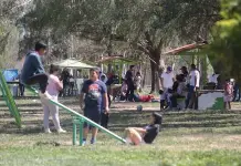 Impacto de las Islas de calor urbanas en entornos urbanos