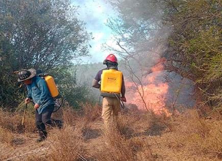 Controlan un incendio cerca de zona hotelera