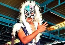 Impactante accidente en la lucha libre: Rey Destroyer pierde la vida Impactante accidente en la lucha libre: Rey Destroyer pierde la vida