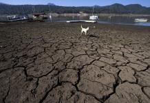 Impacto ambiental y social de la sequía en Valle de Bravo