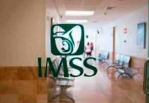 Desarrollo de Medicamentos y Plantas Medicinales en el IMSS