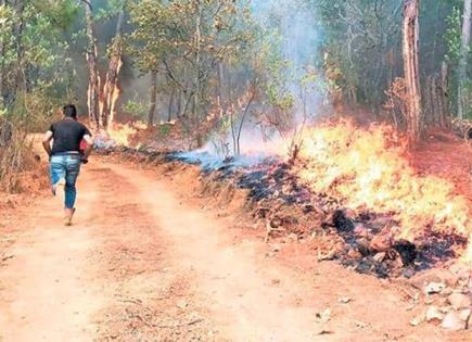 Conafor: SLP registra 2 incendios forestales
