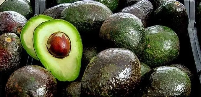 El aguacate: un superalimento que nutre y protege la salud