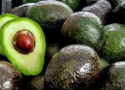 El aguacate: un superalimento que nutre y protege la salud