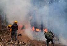 Incendios Forestales afectan la Sierra Tarahumara de Chihuahua