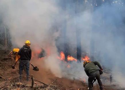 Combate exitoso del incendio en Izta-Popo