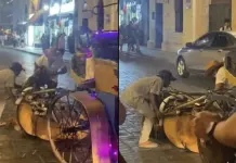 Pol&eacute;mica por el uso de calesas en M&eacute;rida