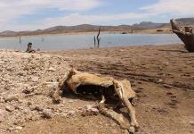 VIDEO | Política agrava crisis del agua, en San Luis