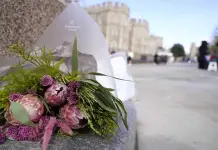 Apoyo Mundial a la Princesa de Gales por Diagnóstico de Cáncer