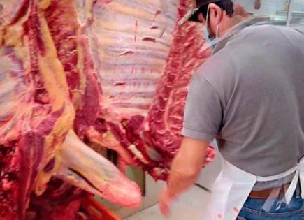 Baja la matanza de animales en Rastro