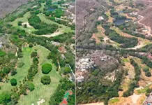 Ricardo Salinas Pliego denuncia destrucci&oacute;n de campo de golf expropiado por gobierno de AMLO