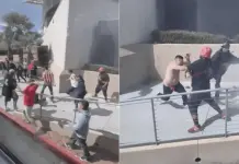 Violencia en el Clásico Tapatío: Chivas vs Atlas Violencia en el Clásico Tapatío: Chivas vs Atlas