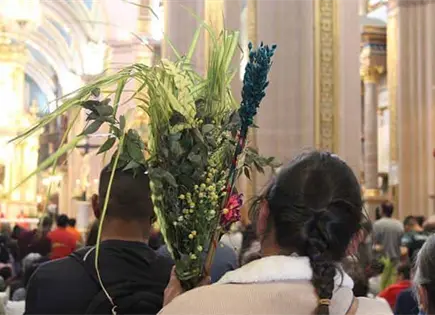 Domingo de Ramos: &iquest;qu&eacute; significa?