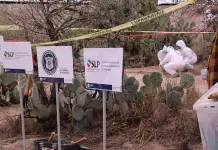 Piden al gobernador corregir yerro sobre cifra de desaparecidos