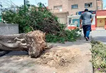 Fuertes vientos obligan al cierre de parques