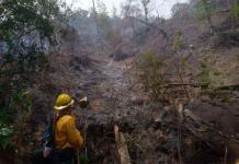 Reportan 5 incendios forestales en Veracruz en 24 horas