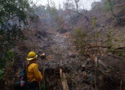 Reportan 5 incendios forestales en Veracruz en 24 horas