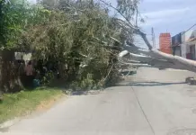 Video y galer&iacute;a: Vientos ya rebasan los 80km/h; suman 35 incidencias