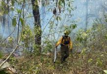 Activos, cuatro incendios forestales en la Huasteca