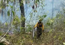 Contabiliza CEPC 3 mil 678 hect&aacute;reas afectadas por incendios