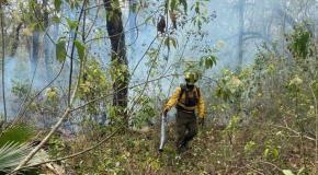 Contabiliza CEPC 3 mil 678 hectáreas afectadas por incendios