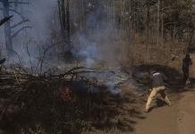 Acciones de Semarnat y prevención de incendios forestales en México