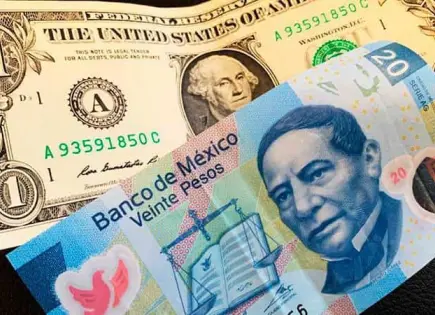 Precio del dólar abre estable en 19.56 pesos al mayoreo
