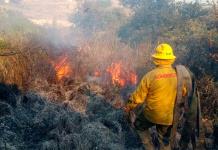 Situación Actual de los Incendios Forestales en el Estado de México
