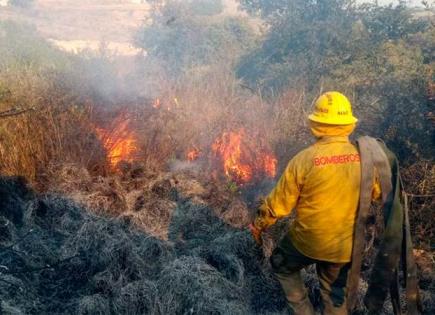 Situación Actual de los Incendios Forestales en el Estado de México