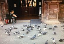 Foto del Día | Devoción y palomas