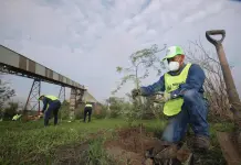 Para reforestar Monterrey cultivan cientos de &aacute;rboles.